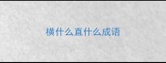 横什么直什么成语