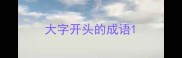 大字开头的成语
