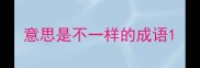 意思是不一样的成语