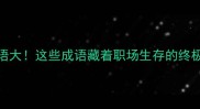 狼性成语大这些成语藏着职场生存的终极密码