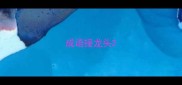 成语接龙头