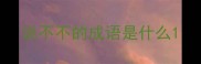说不不的成语是什么