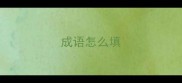 成语怎么填