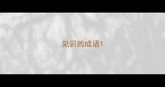 见识的成语