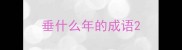 垂什么年的成语