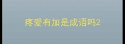 疼爱有加是成语吗