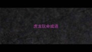 虎龙玩命成语
