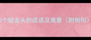 10个缺龙头的成语及寓意附例句