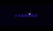 小鸟美丽的成语