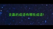 含赢的成语有哪些成语