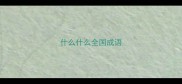 什么什么全国成语