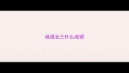 成语五三什么成语
