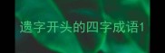 遗字开头的四字成语