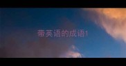 带英语的成语