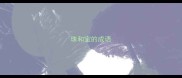 珠和宝的成语
