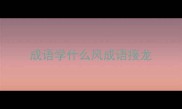 成语学什么风成语接龙