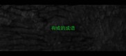 有或的成语