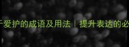 25个关于爱护的成语及用法提升表达的必备词汇