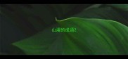 山濯的成语