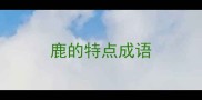 鹿的特点成语