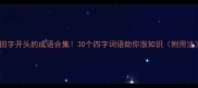 田字开头的成语合集30个四字词语助你涨知识附用法