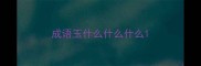 成语玉什么什么什么
