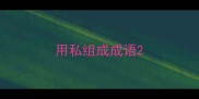 用私组成成语