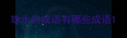 珠水的成语有哪些成语