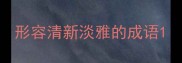 形容清新淡雅的成语