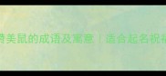 10个赞美鼠的成语及寓意适合起名祝福吉祥话