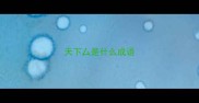 天下厶是什么成语