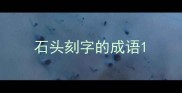 石头刻字的成语