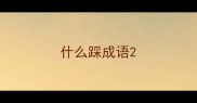 什么踩成语