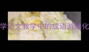 纷字开头的趣味成语接龙小学语文教学中的成语游戏化学习指南含20个经典案例
