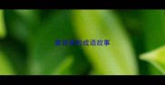 最简单的成语故事