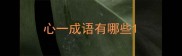 心一成语有哪些