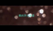 黄的开头成语