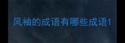 风袖的成语有哪些成语