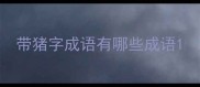 带猪字成语有哪些成语