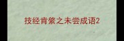 技经肯綮之未尝成语