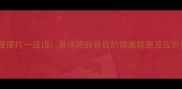 大腹便便打一成语身体肥胖背后的健康隐患及应对策略