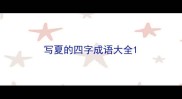 写夏的四字成语大全