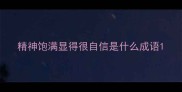 精神饱满显得很自信是什么成语