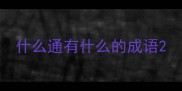什么通有什么的成语