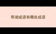 带湖成语有哪些成语