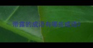 带露的成语有哪些成语