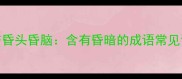暮气沉沉与昏头昏脑含有昏暗的成语常见误用与正确