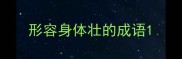 形容身体壮的成语