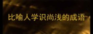 比喻人学识尚浅的成语