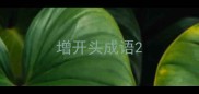 增开头成语